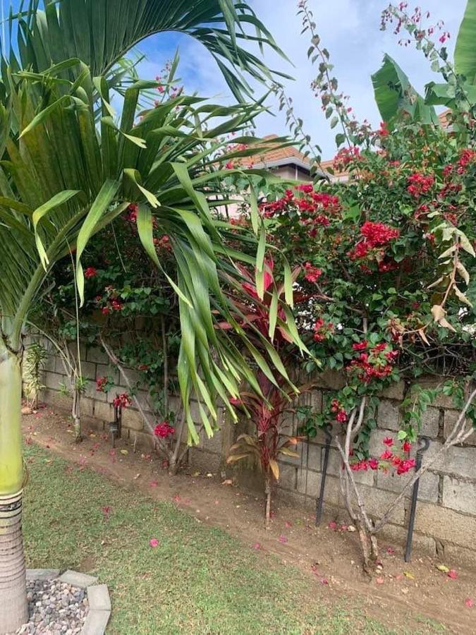 Bed and Breakfast Modrians Runaway Bay Exterior foto