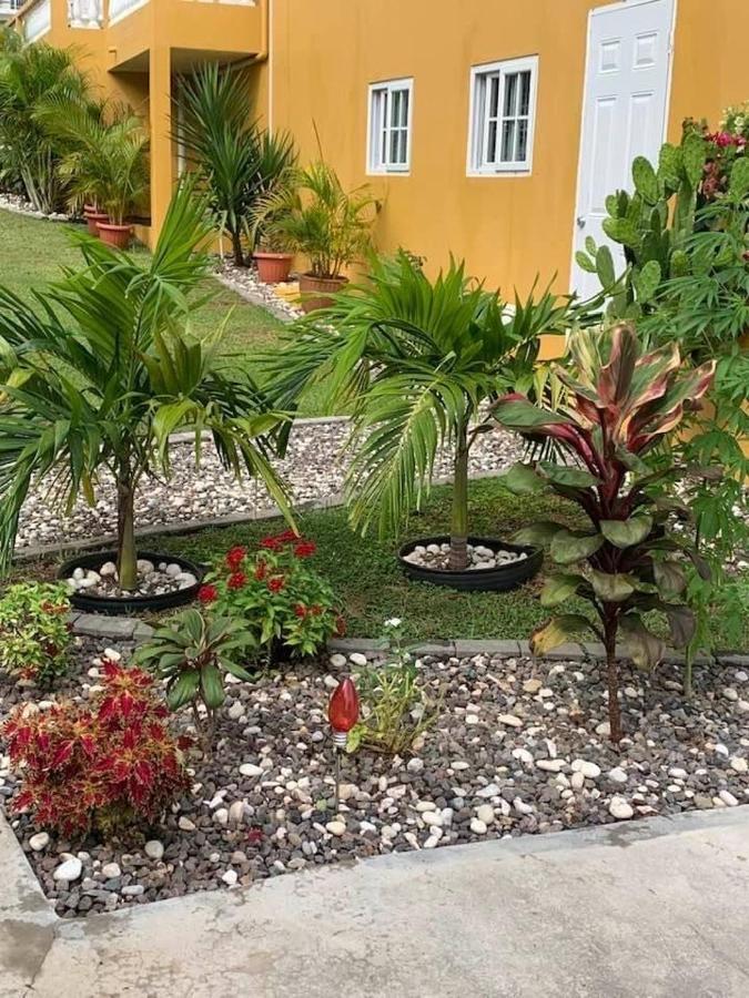 Bed and Breakfast Modrians Runaway Bay Exterior foto